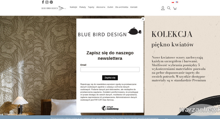bluebird-design