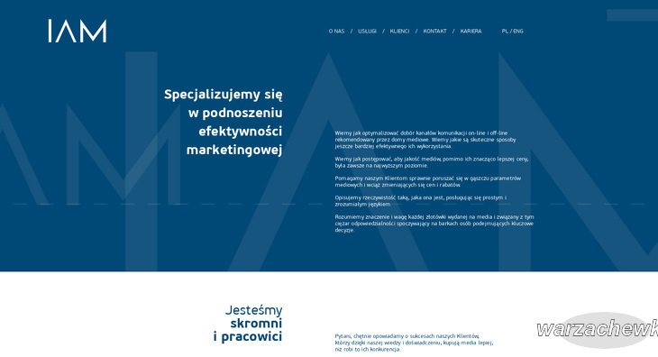 instytut-audytu-mediowego